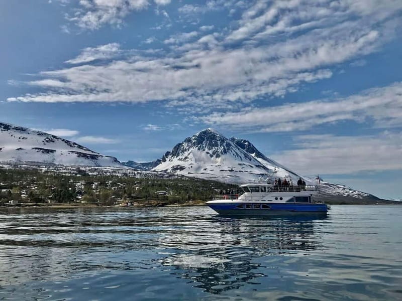 Tromsø: 2-Hour Island Tour Cruise - Boarding at Killengreensgate 7-11, and What to Notice on the Boat
