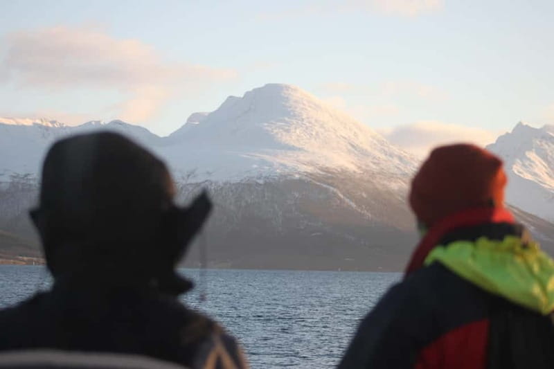 Tromsø: 2-Hour Island Tour Cruise - Family-Friendly Details That Actually Help Kids Enjoy the Trip