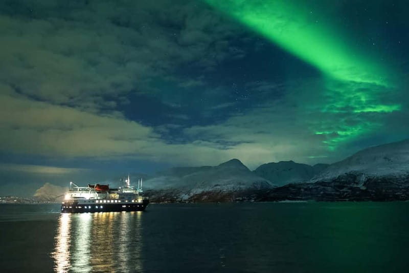 Tromsø: 24hr Northern Lights & Whale Watching Cruise - Key highlights worth caring about