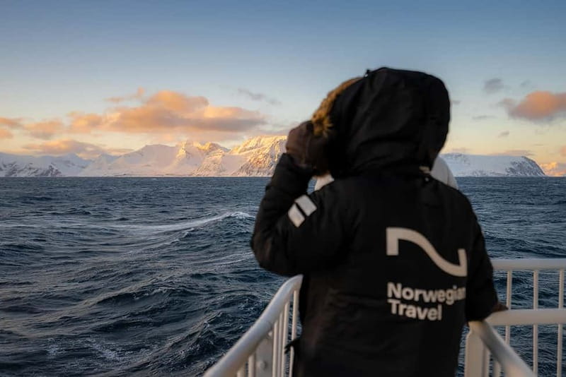 Tromsø: 24hr Northern Lights & Whale Watching Cruise - Who this cruise suits best, and who might want a different plan