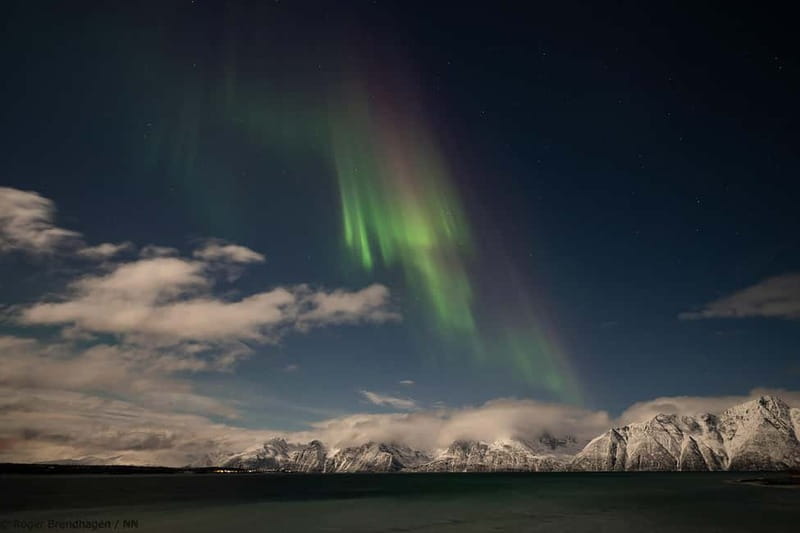 Tromsø: 24hr Northern Lights & Whale Watching Cruise - Boarding MV Quest in Tromsø: your warm start for an Arctic night