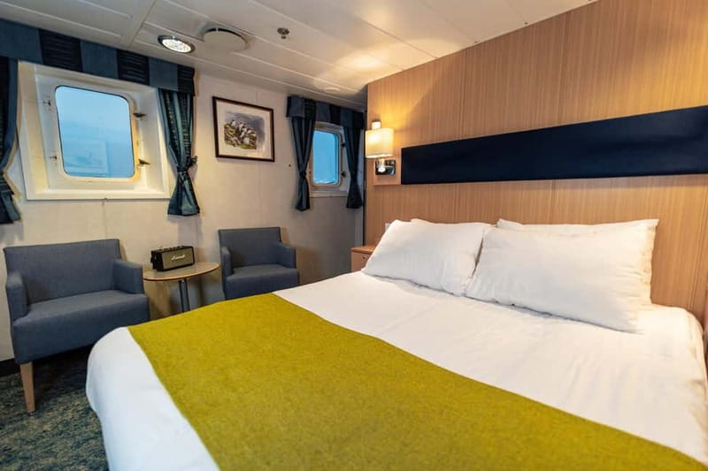 Tromsø: 24hr Northern Lights & Whale Watching Cruise - Whale watching for real: humpbacks, orcas, and sea eagles overhead