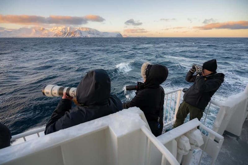 Tromsø: 24hr Northern Lights & Whale Watching Cruise - Dinner at 20:30 and the Northern Lights lecture that stays flexible