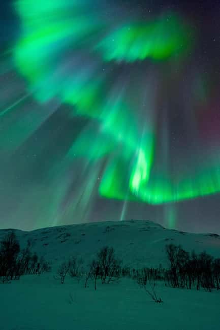 Tromsø: A Sámi Survival Story and Aurora Hunt - Warmth, hot food, and small comforts that keep you in the game