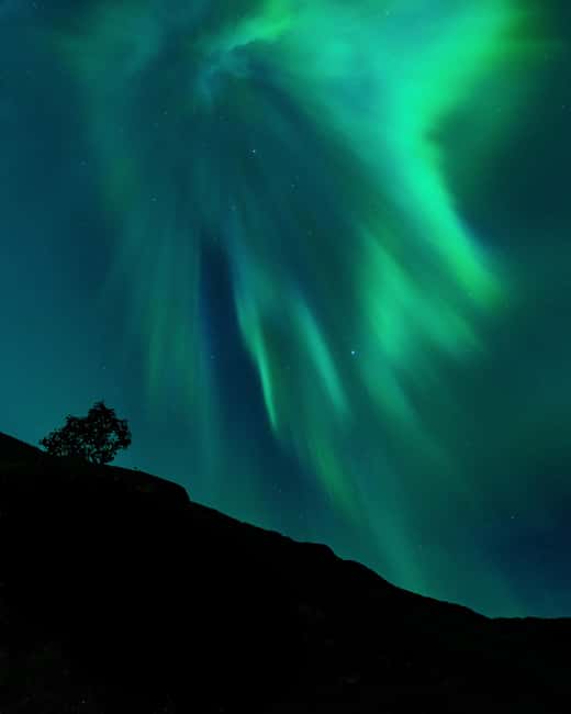 Tromsø: A Sámi Survival Story and Aurora Hunt - Meeting point and first 15 minutes: Radisson Blu and the bright yellow sign