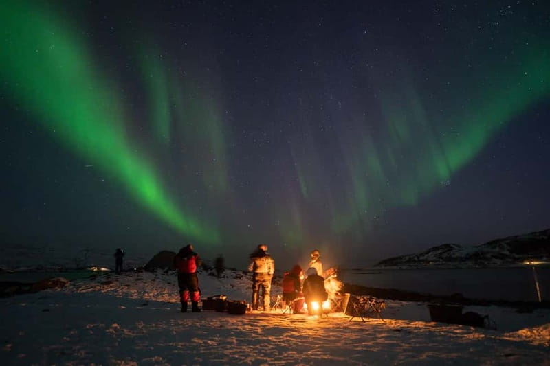 Tromsø: Adult Only Aurora hunt with Citizen Science - The 8-hour flow: drive, search, campfire, and back again