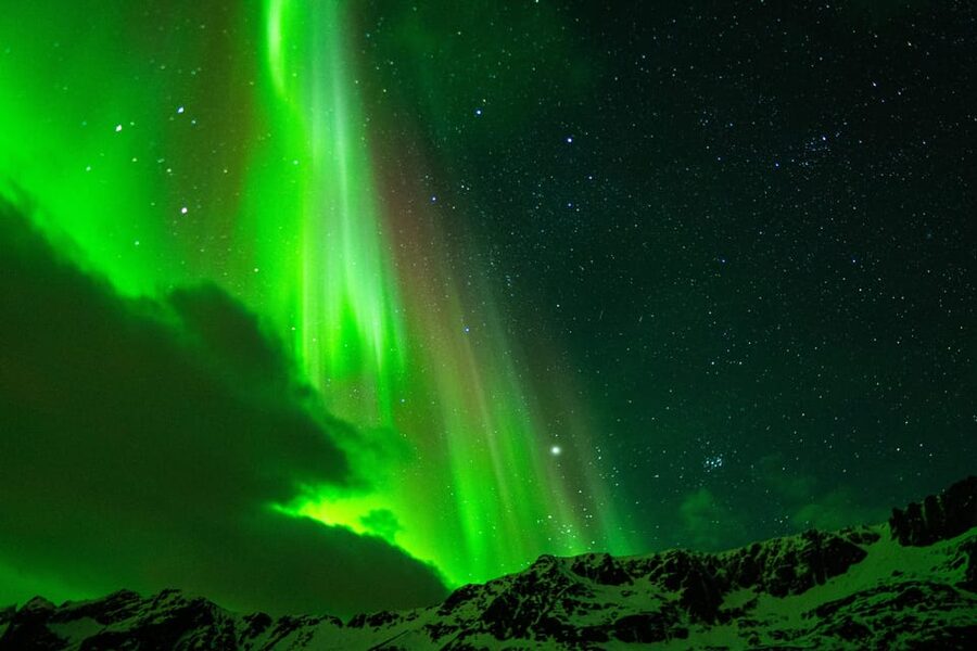 Tromsø Adventurous Northern Lights Small-Group - Price and value: why $131 can make sense here