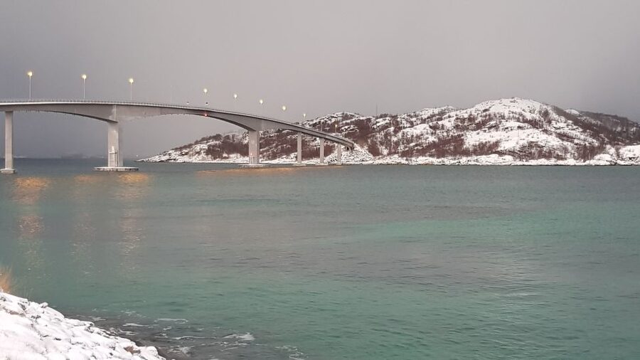 Tromso: All-Inclusive Arctic Fjords and Sommarøy Scenic Tour - In the Mercedes Sprinter: the comfort factor that changes the whole day
