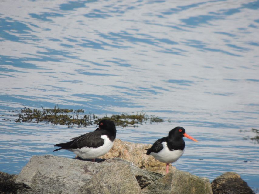 Tromso: All-Inclusive Arctic Fjords and Sommarøy Scenic Tour - Sommarøy: the lunch island with fishing-village charm and white sand beaches