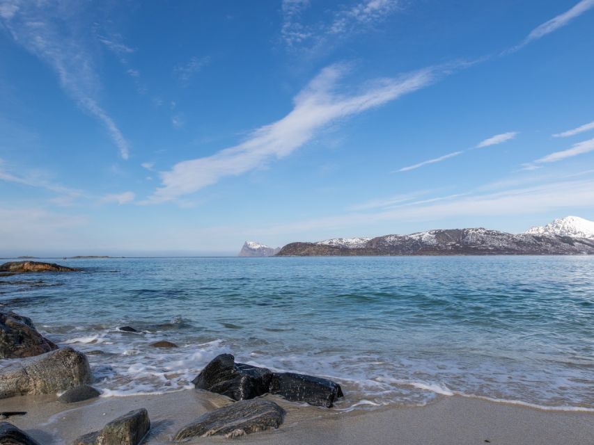 Tromso: All-Inclusive Arctic Fjords and Sommarøy Scenic Tour - Where you meet: Prostneset shop or Breivika cruise pier