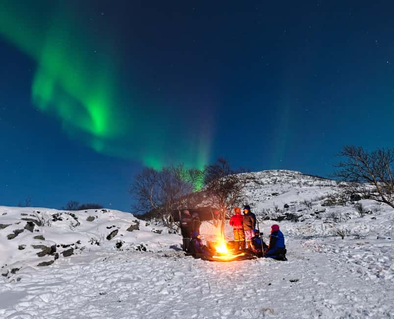 Tromsø: All-Inclusive Northern Lights Hunt - Key Highlights You’ll Appreciate in Person