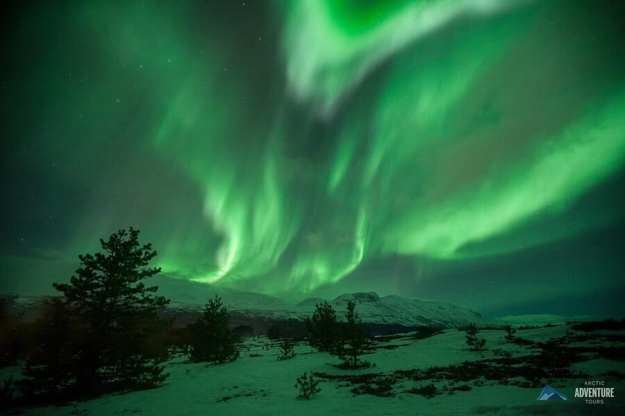Tromsø: All-Inclusive Northern Lights Hunt - How the Night Actually Unfolds: Stops, Openings, and One Goal