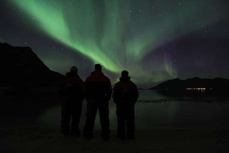 Tromsø: All-Inclusive Northern Lights Hunt - The Guide and Driver: What Makes the Difference