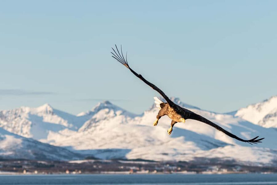 Tromsø: Arctic Fjord Cruise & Fishing Experience - Third Stop Photo Time and Winter Light: When the Fjord Gets Cinematic