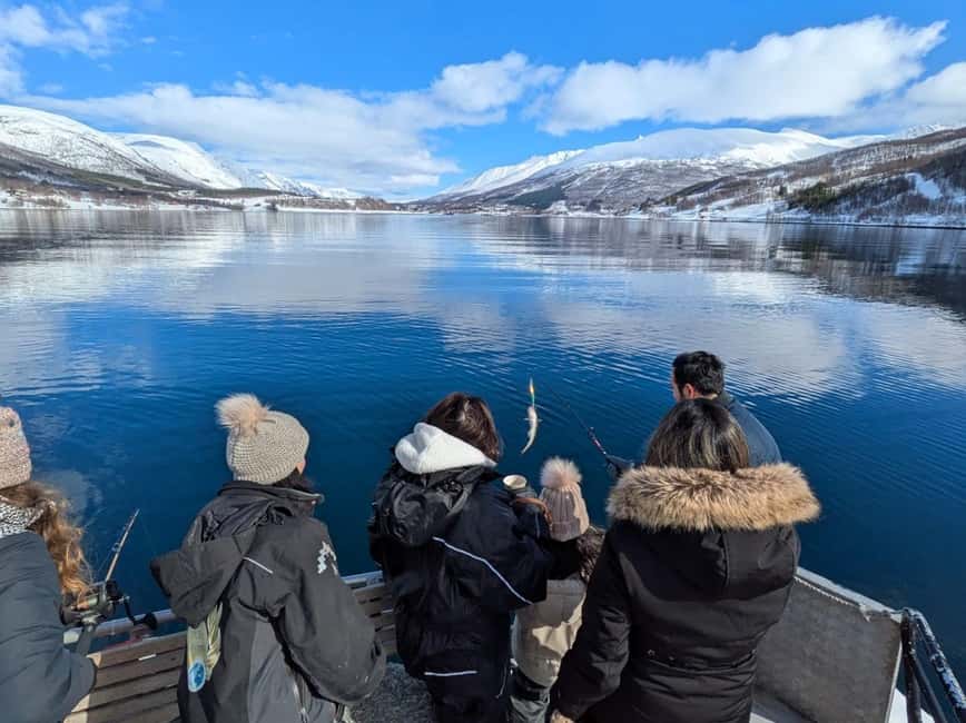 Tromsø: Arctic Fjord Cruise & Fishing Experience - Fjord Cruising Around Tromsø, Plus Wildlife You Can Actually Watch