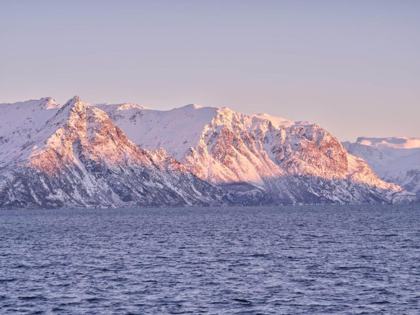 Tromsø: Arctic Fjord Cruise in Polar Landscapes - Leaving Tromsø: city sights before the Arctic fjord mood takes over