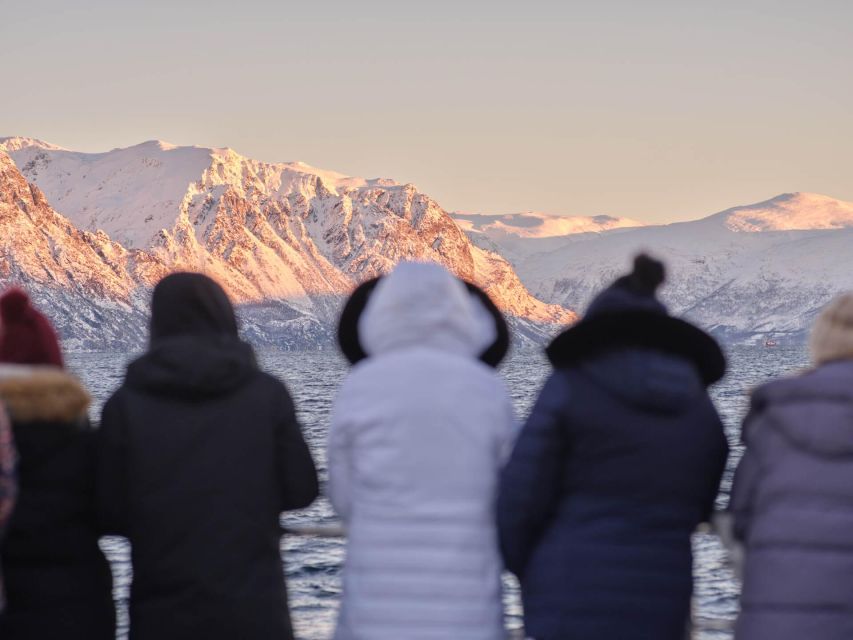 Tromsø: Arctic Fjord Cruise in Polar Landscapes - Wildlife spotting with guidance that actually helps