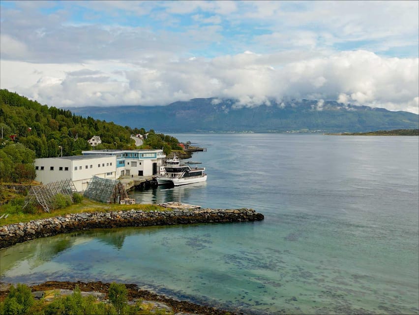 Tromsø: Arctic Fjord Cruise With Stop On Land At Fish Racks - Value at about $125 for 4 hours
