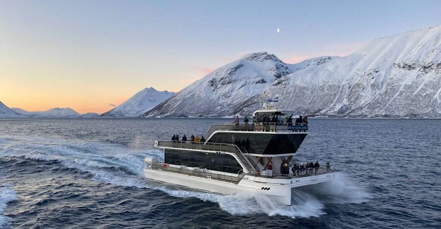 Tromsø: Arctic Fjord Cruise With Stop On Land At Fish Racks - Wildlife viewing breaks you can actually plan for