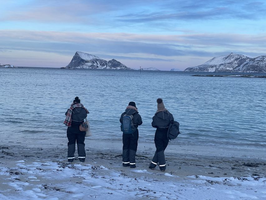 Tromsø: Arctic fjord sightseeing, Reindeer feeding and lunch - Sommarøy: fishing village views, snow, mountains, and white-sand coastlines
