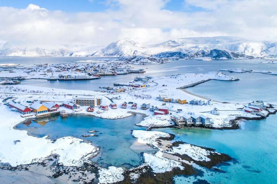 Tromsø: Arctic fjord sightseeing, Reindeer feeding and lunch - Reindeer feeding and meeting a Sámi herder: close, safe, and real