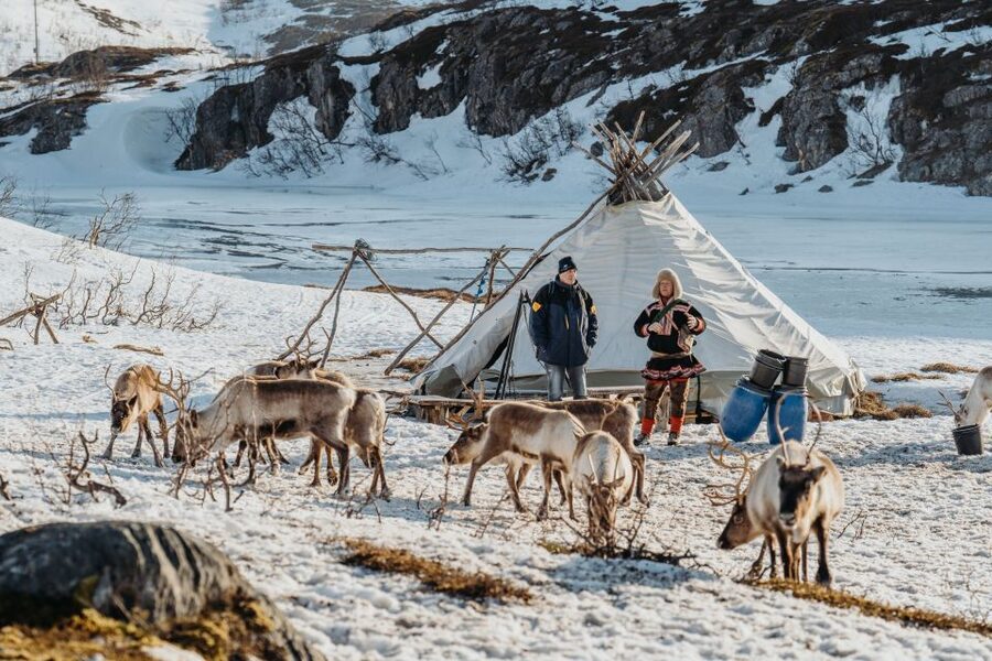 Tromsø: Arctic fjord sightseeing, Reindeer feeding and lunch - What’s included, and what that means for comfort