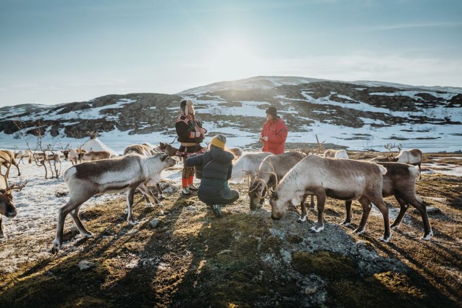 Tromsø: Arctic fjord sightseeing, Reindeer feeding and lunch - Getting started: Scandic Ishavshotel and the drive to Kvaløya