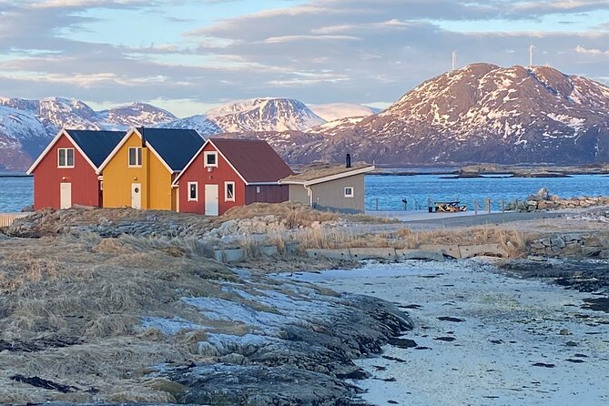 Tromsø Arctic Fjords Adventure Tour with Local Lunch - Key takeaways before you go