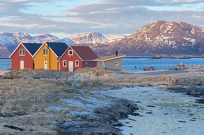 Tromsø Arctic Fjords Adventure Tour with Local Lunch - Group size and guides: why the experience can feel personal