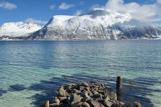 Tromsø Arctic Fjords Adventure Tour with Local Lunch - Who should book this tour, and who should reconsider