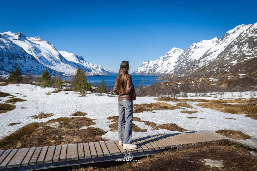 Tromsø: Arctic Fjords Tour to Kvaløya with Panoramic Lunch - Kvaløya in 5 hours, without the stress