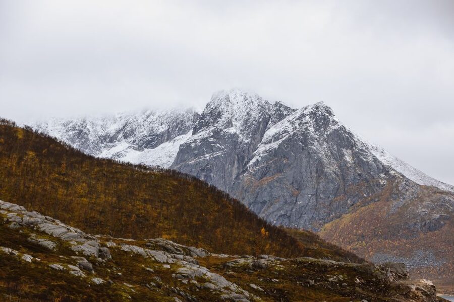 Tromsø: Arctic Fjords Tour to Kvaløya with Panoramic Lunch - Arctic picnic lunch by the sea, and why it hits so well