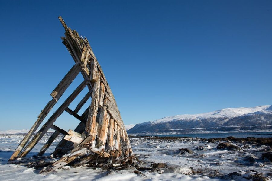 Tromsø: Arctic Fjords Tour to Kvaløya with Panoramic Lunch - Wildlife spotting: what you might see, and how to maximize your odds