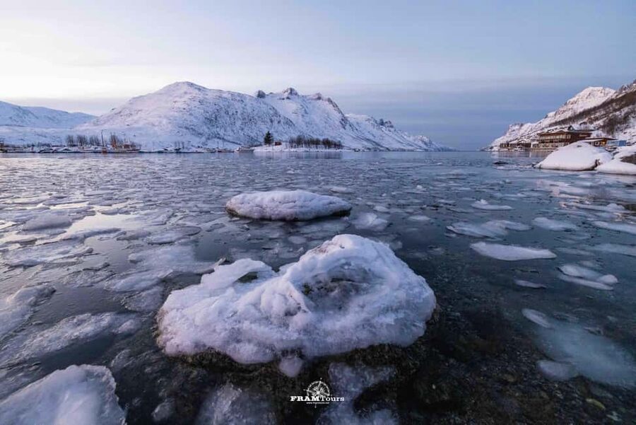 Tromsø: Arctic Fjords Tour to Kvaløya with Panoramic Lunch - Who should book this Tromsø to Kvaløya tour