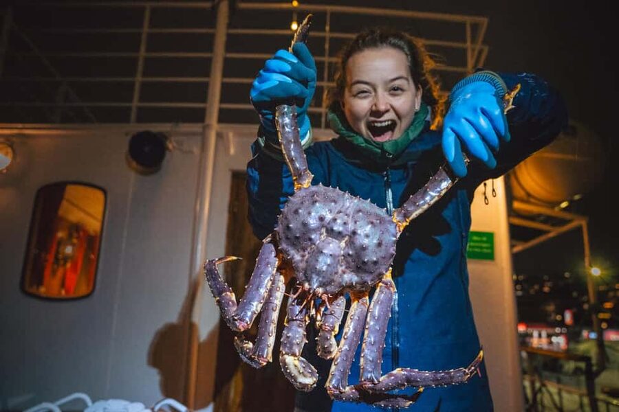 Tromsø: Arctic king crab cruise with self-captured lunch - Key things I’d bookmark before you go