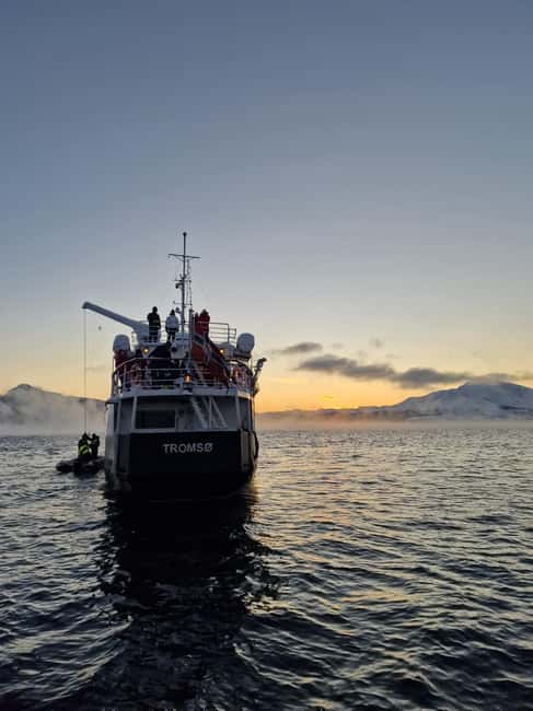Tromsø: Arctic king crab cruise with self-captured lunch - Sailing into Tromsø’s dark fjords, what you’re really paying for