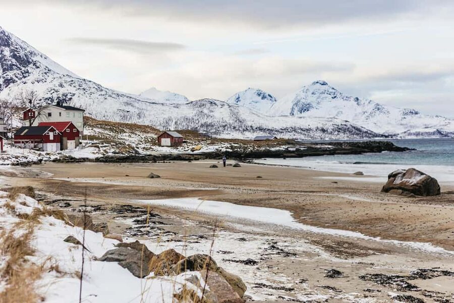 Tromsø: Arctic Landscape and Fjord Tour with Snacks - Key Reasons This Tromsø Arctic Fjord Tour Works