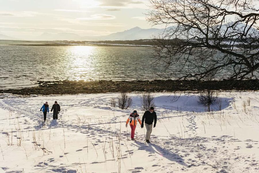 Tromsø: Arctic Landscape and Fjord Tour with Snacks - Karigambukta Picnic Break: Warm Drink and Norwegian Treats