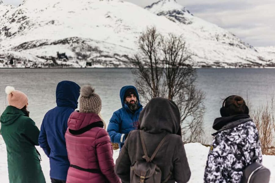Tromsø: Arctic Landscape and Fjord Tour with Snacks - Wildlife, Weather, and How the Guide Helps When Plans Change