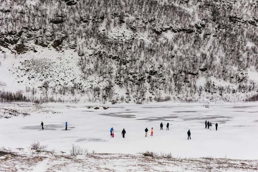Tromsø: Arctic Landscape and Fjord Tour with Snacks - Price and What You Really Get for $114