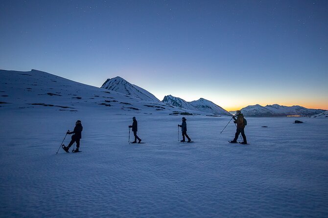 Tromsø: Arctic Landscapes Hiking / Snowshoeing Tour in the wild - Magic Ice Bar Start, Small Group Energy, And A Real Winter Plan