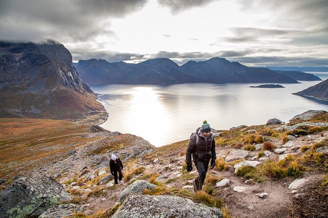 Tromsø: Arctic Landscapes Hiking / Snowshoeing Tour in the wild - Professional Photos: A Souvenir That Actually Saves Your Memory
