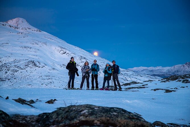 Tromsø: Arctic Landscapes Hiking / Snowshoeing Tour in the wild - Fitness Expectations: How Much Walking on Uneven Icy Ground?