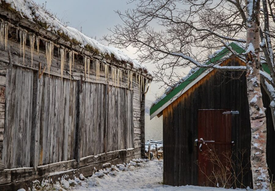 Tromsø: Arctic Nature Roadtrip with Photos & Scenic Lunch - Key highlights you will feel right away