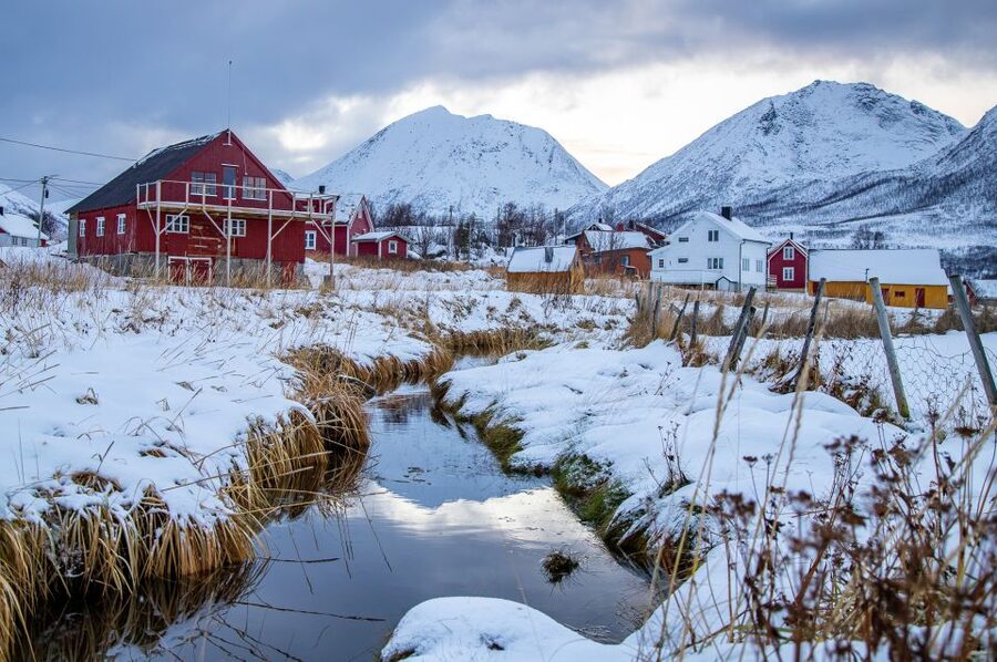 Tromsø: Arctic Nature Roadtrip with Photos & Scenic Lunch - What thermal suits and boots change for you in winter