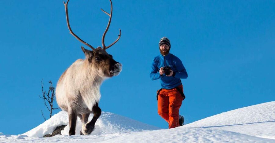 Tromsø: Arctic Nature Roadtrip with Photos & Scenic Lunch - Who this tour suits best, and who should skip it