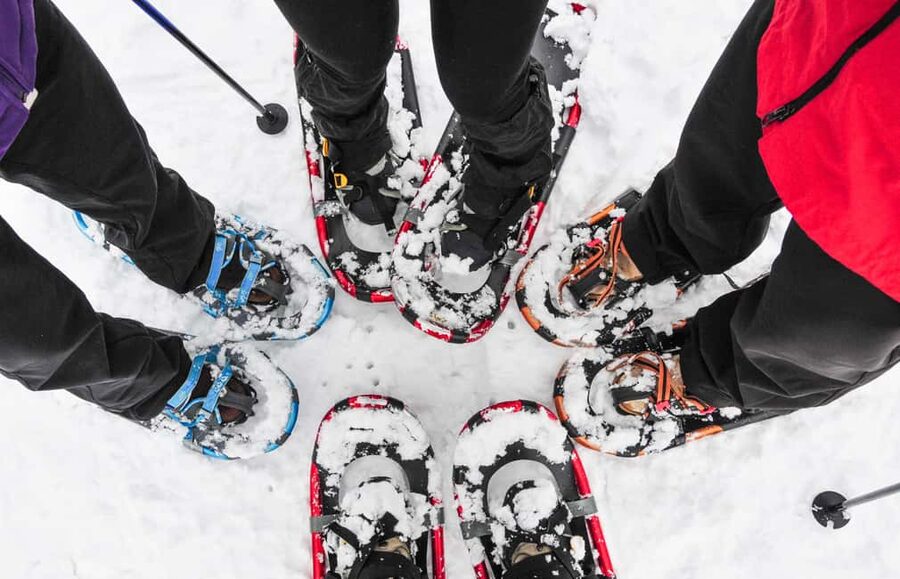 Tromsø: Arctic Sightseeing & Snowshoeing with picnic - Arctic sightseeing, then crunching snow underfoot