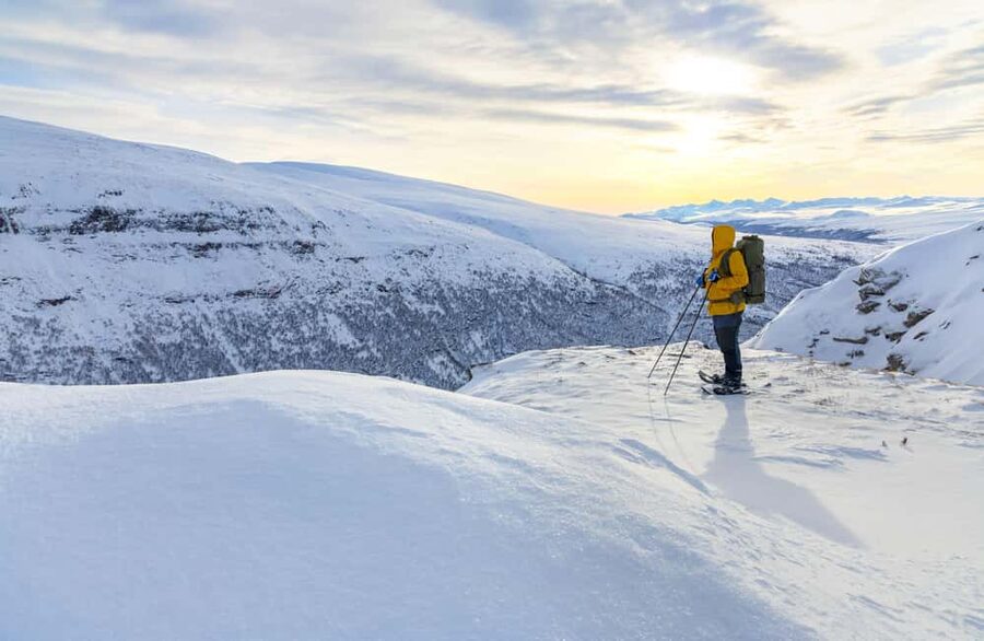 Tromsø: Arctic Sightseeing & Snowshoeing with picnic - Why this Tromsø outing mixes road trip views with snowshoe quiet