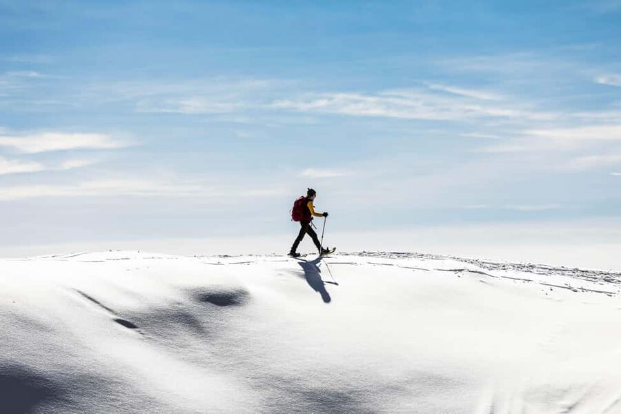 Tromsø: Arctic Sightseeing & Snowshoeing with picnic - Scenic stops outside the city, built for photos
