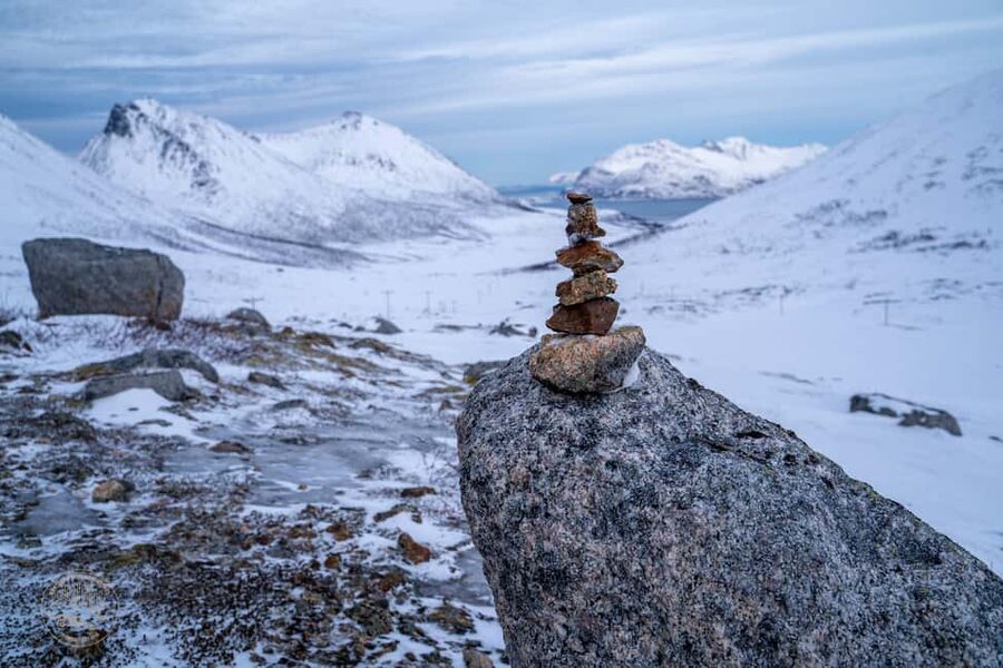 Tromsø: Arctic Sightseeing & Snowshoeing with picnic - Who this Tromsø snowshoeing with picnic tour fits best